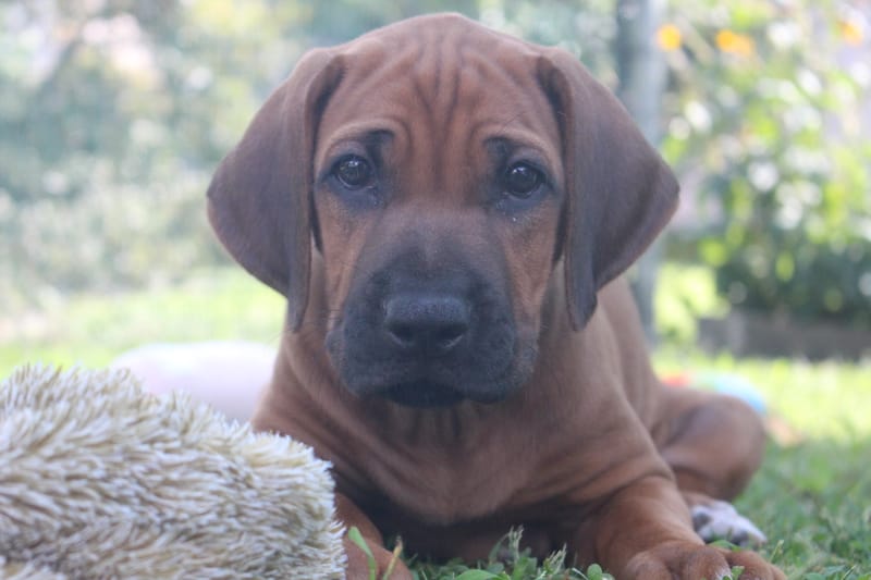 Time flies! Many new experiences