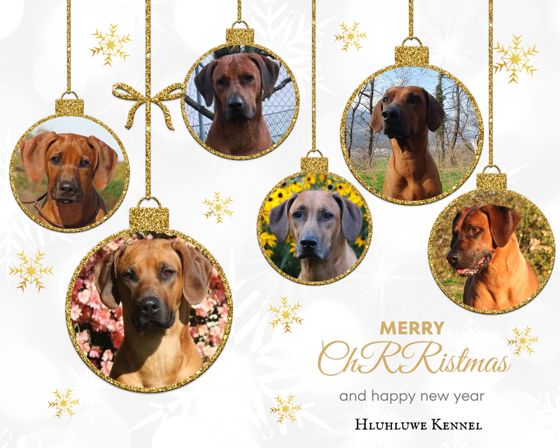 Merry Christmas and Happy New Year to all