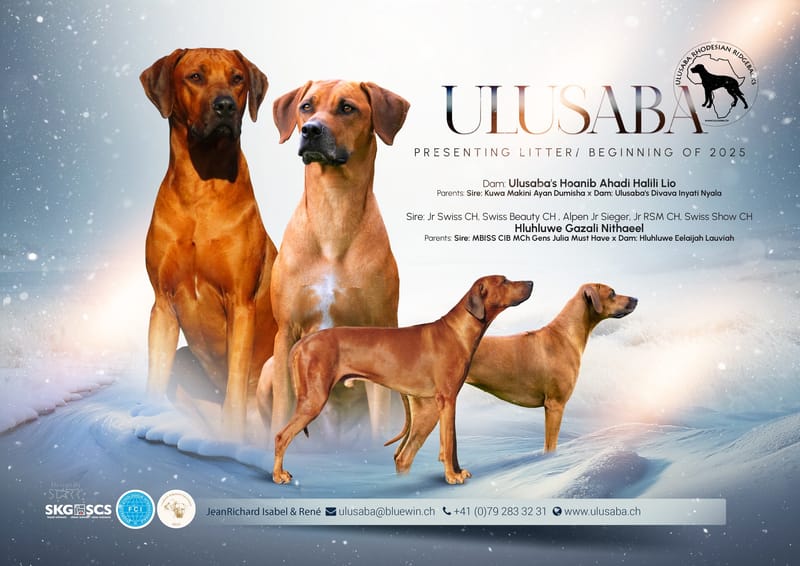 First Litter for our GazGaz!