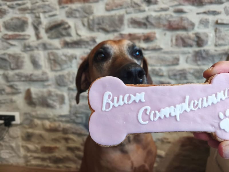 A special Happy Birthday!