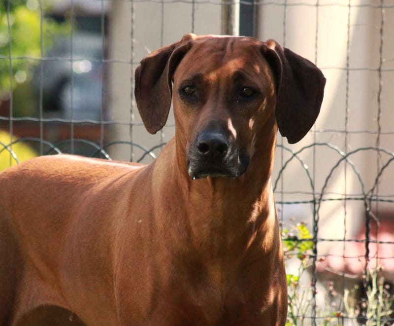 Happy birthday Eelaj!