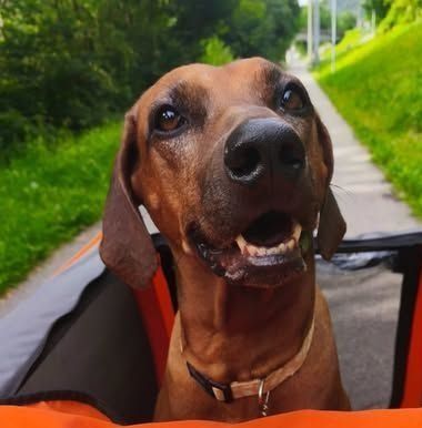 Happy Birthday Toscanellaaaaa