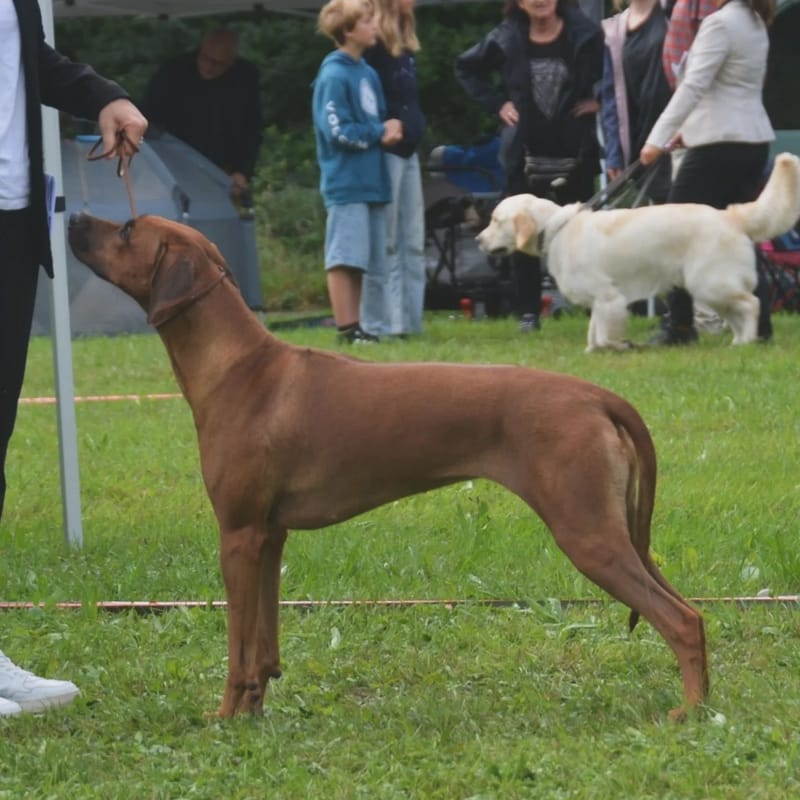 A new junior champion!