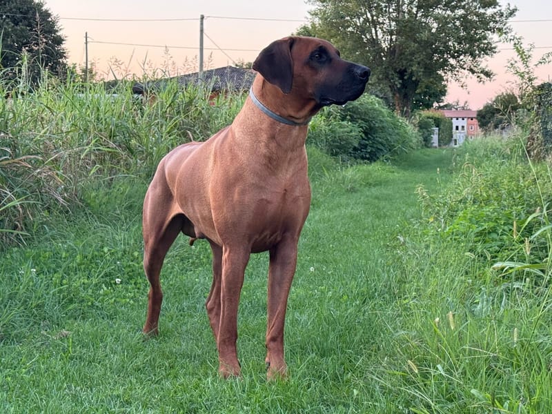 Happy birthday to our Quad!