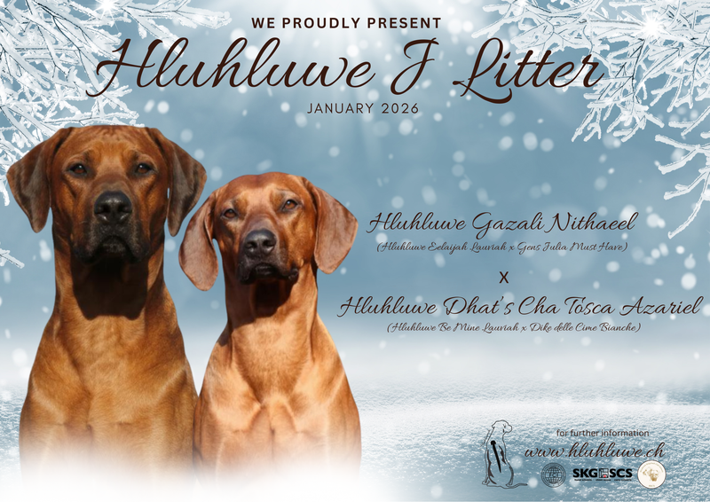 We proudly present our next litter