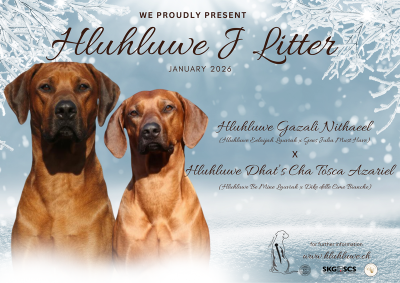 We proudly present our next litter