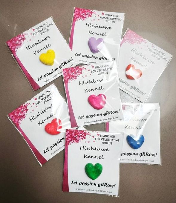 A passion that has lasted 20 years!