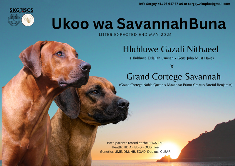 New Litter on the way for our GazGaz