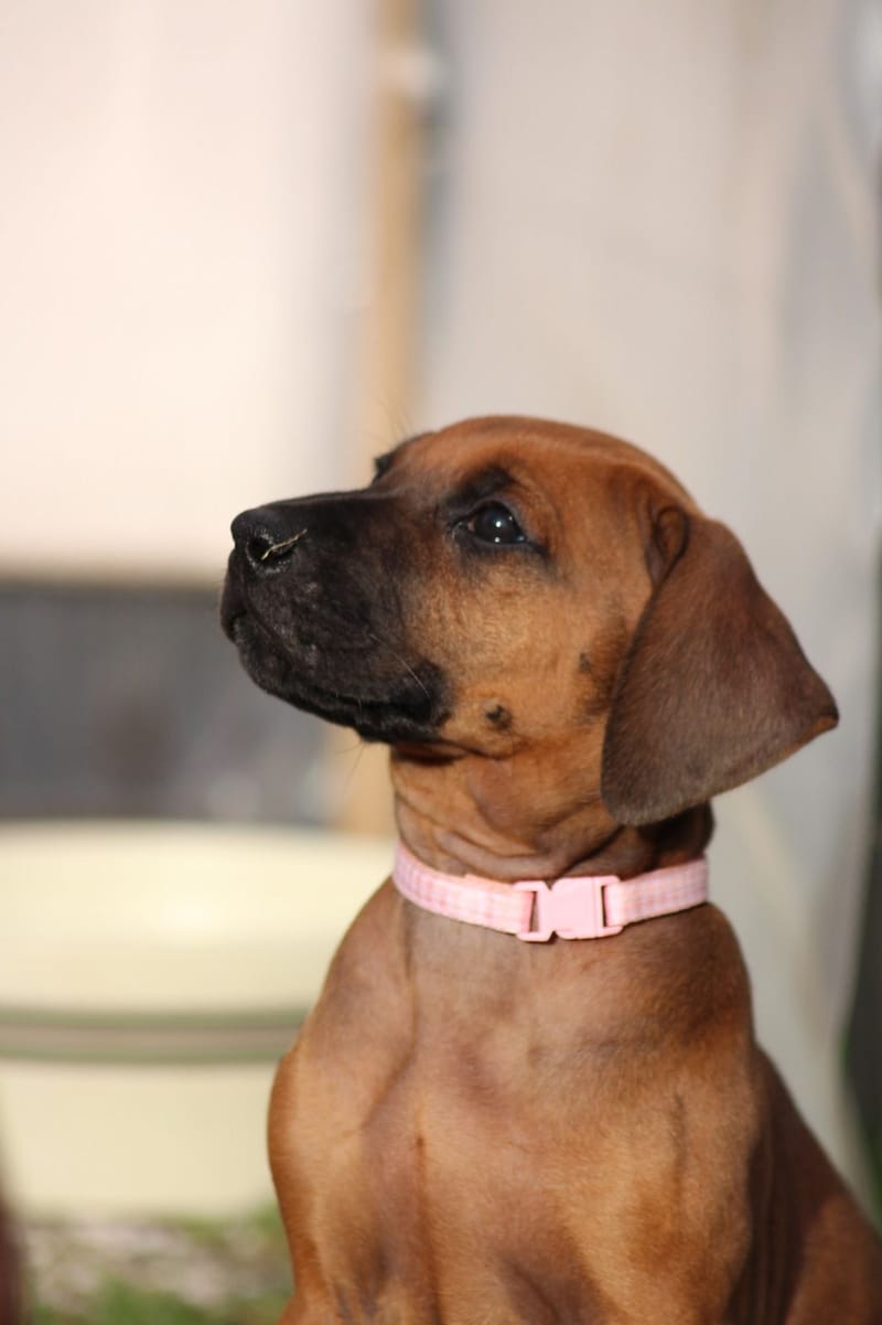 Welcome to our new family member: Mavie Mouch!