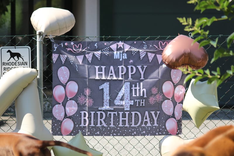 The Queen of the house is 14!