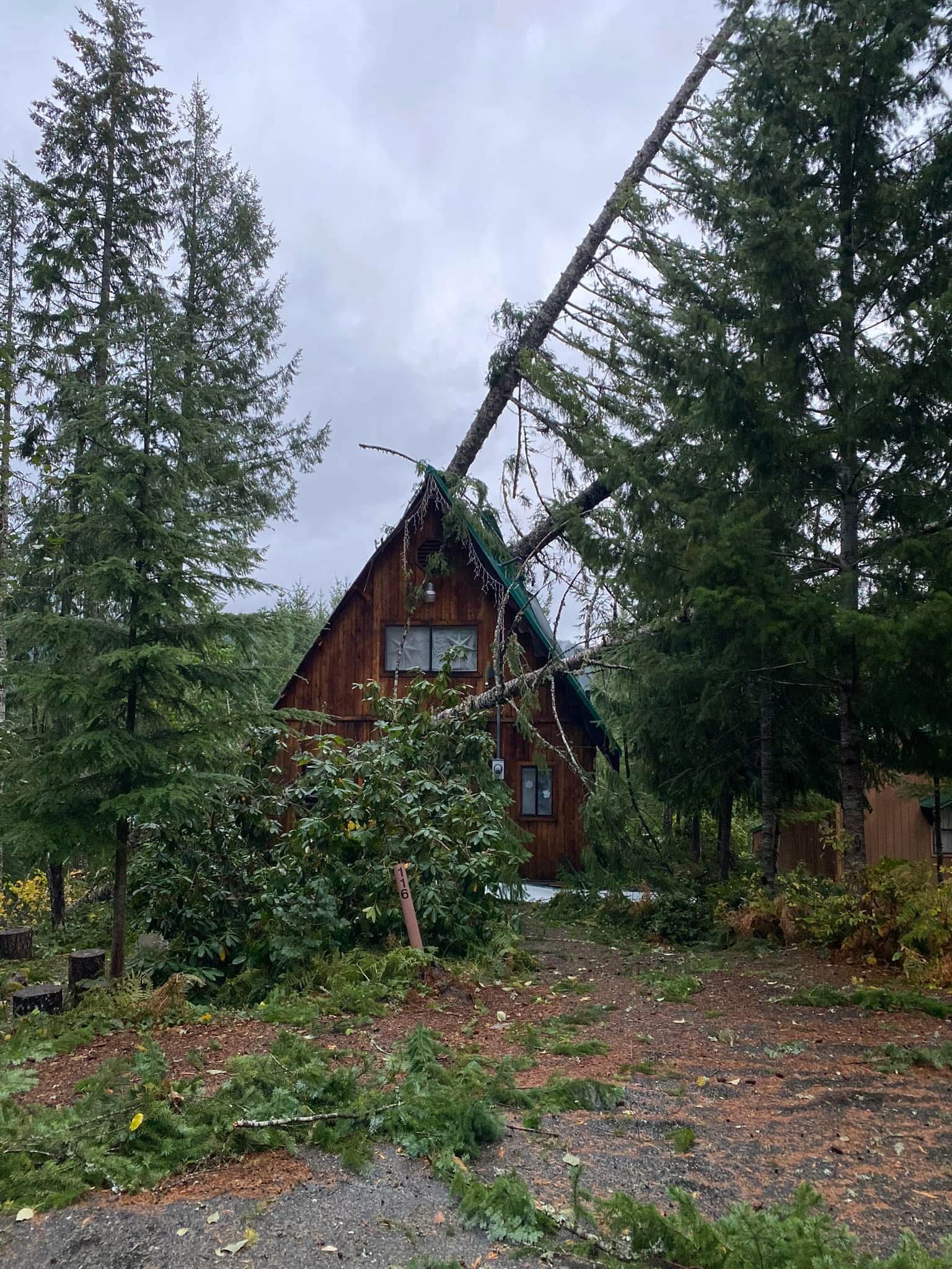 The Wright Cabin before