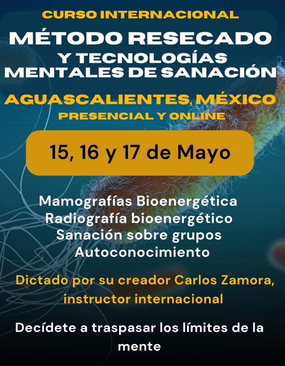 Noticia de Último Momento!!!