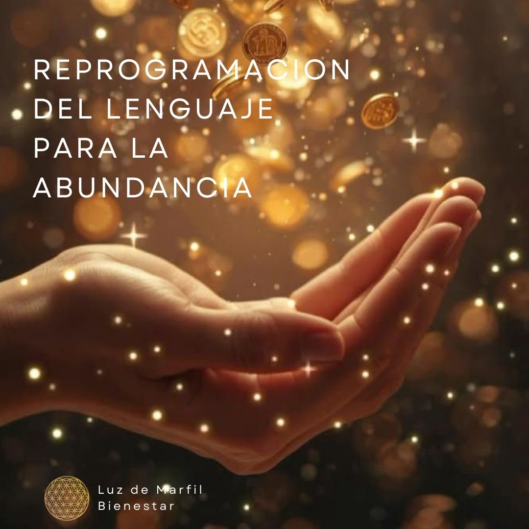 REPROGRAMAR EL LENGUAJE PARA LA ABUNANCIA