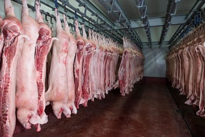 The Little-Known Tricks to Perfect Rail System Installation