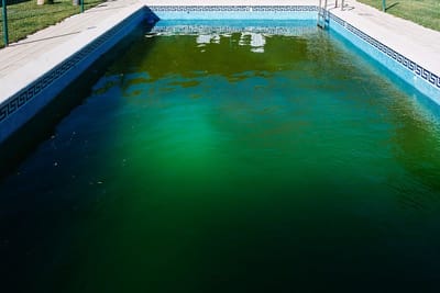 Why Your Pool Water Turned Green Overnight (And How to Prevent It)
