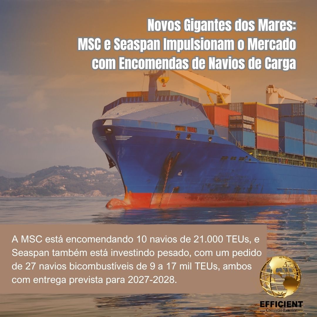 Novos Gigantes dos Mares: MSC e Seaspan Impulsionam o Mercado com Encomendas de Navios de Carga.