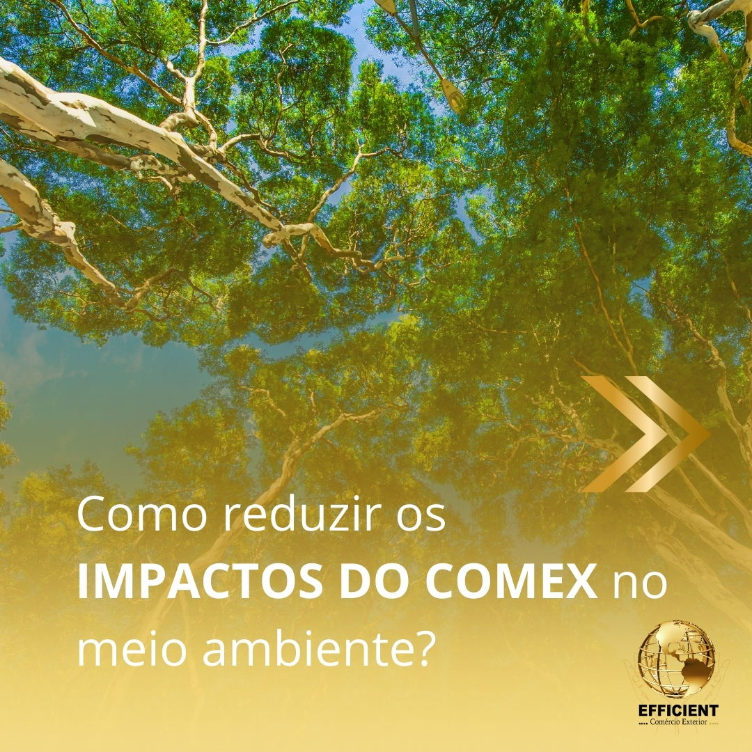 Como reduzir os impactos do Comex no meio ambiente?