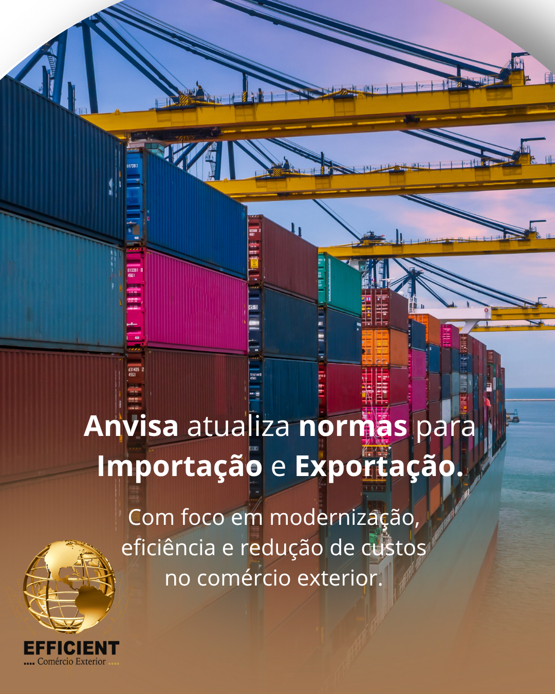 Anvisa atualiza normas para importação e exportação com foco em modernização e eficiência!