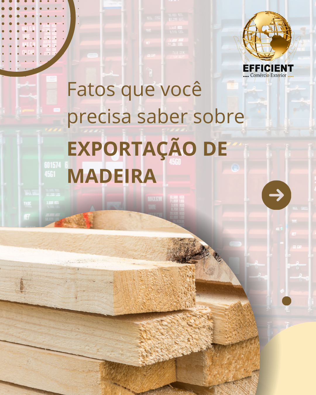 Fatos que você precisa saber sobre exportação de madeira.