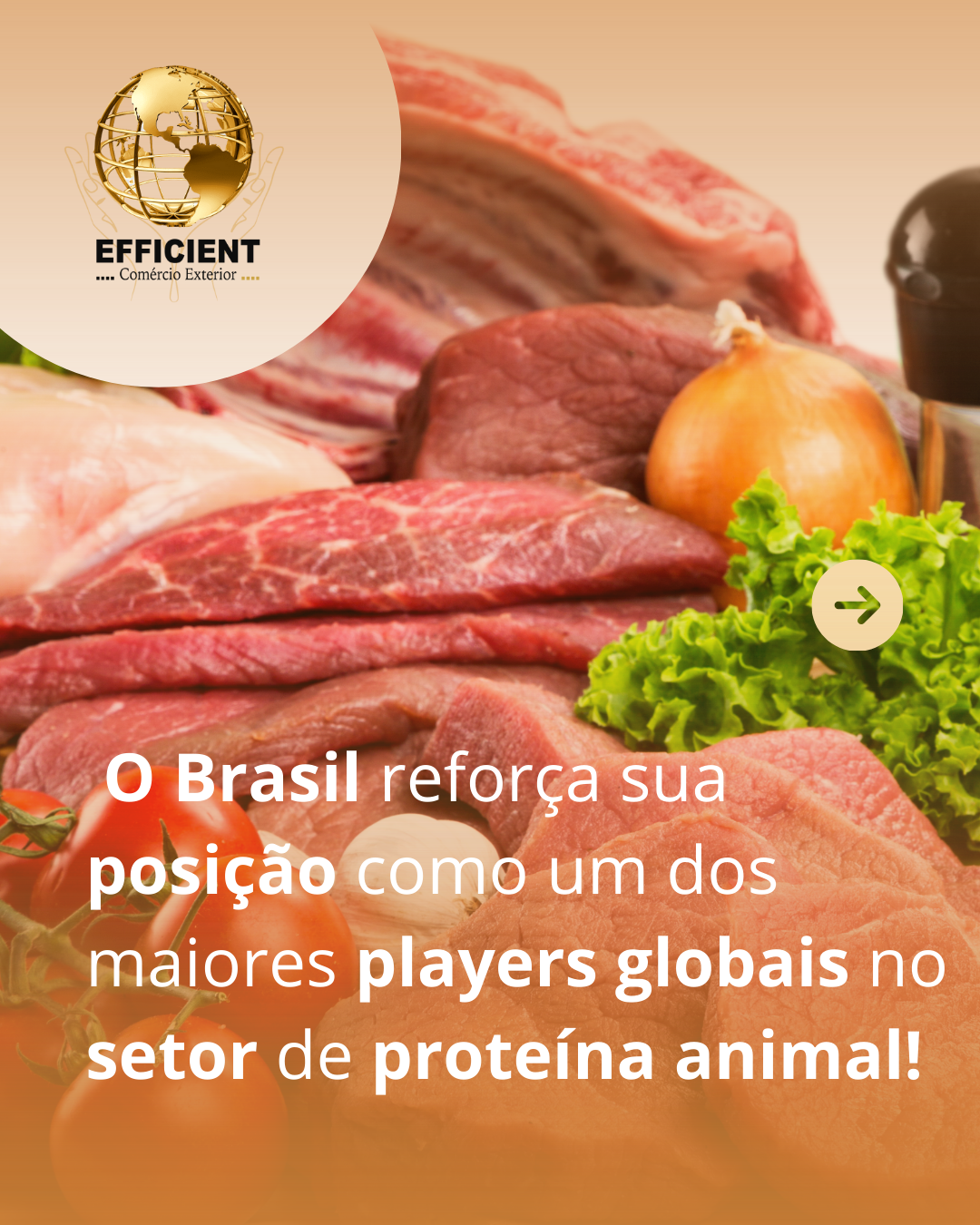 Exportações de carne bovina brasileira somam quase US$ 10 bilhões em 2025