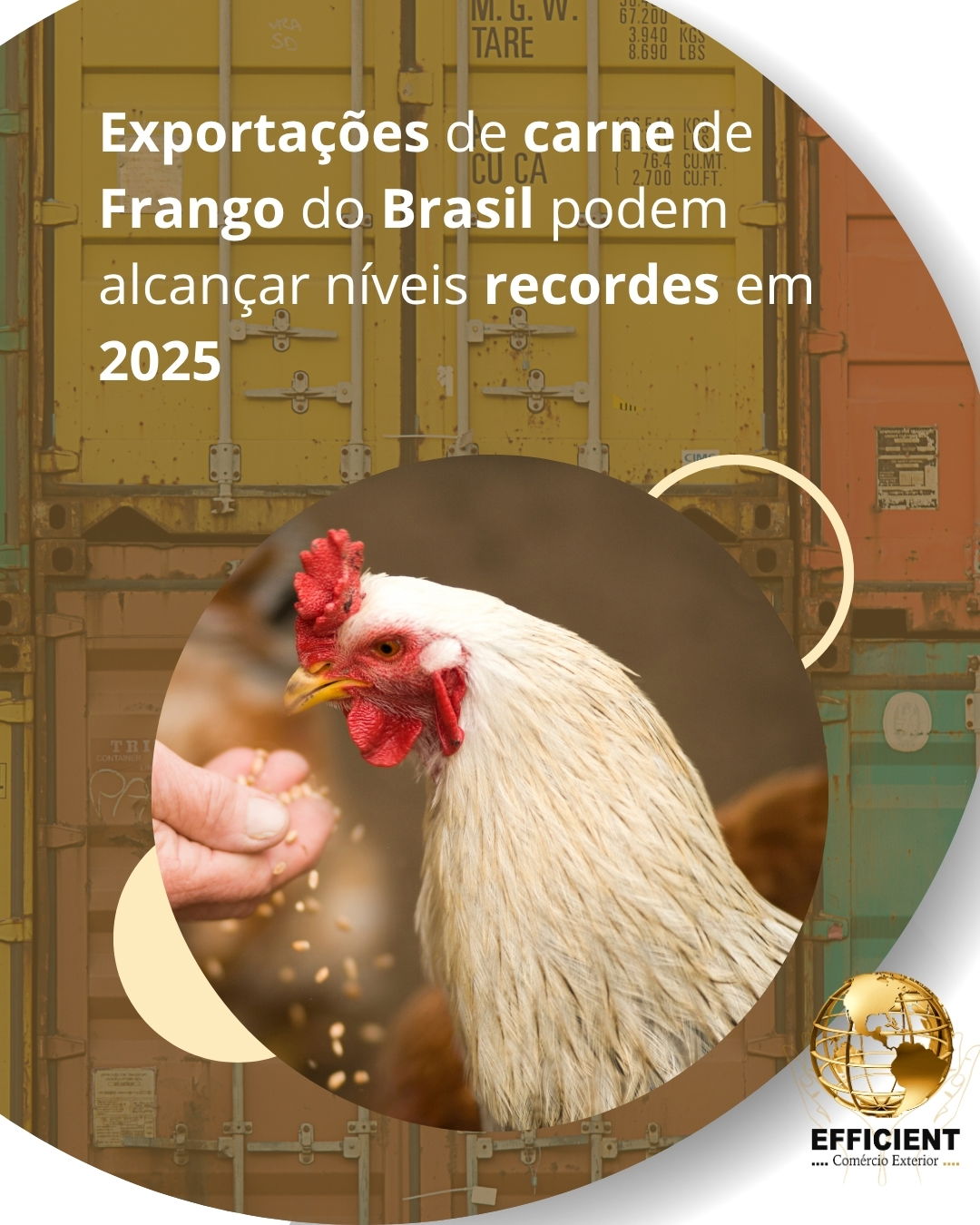 Exportações de carne de frango do Brasil podem alcançar níveis recordes em 2025