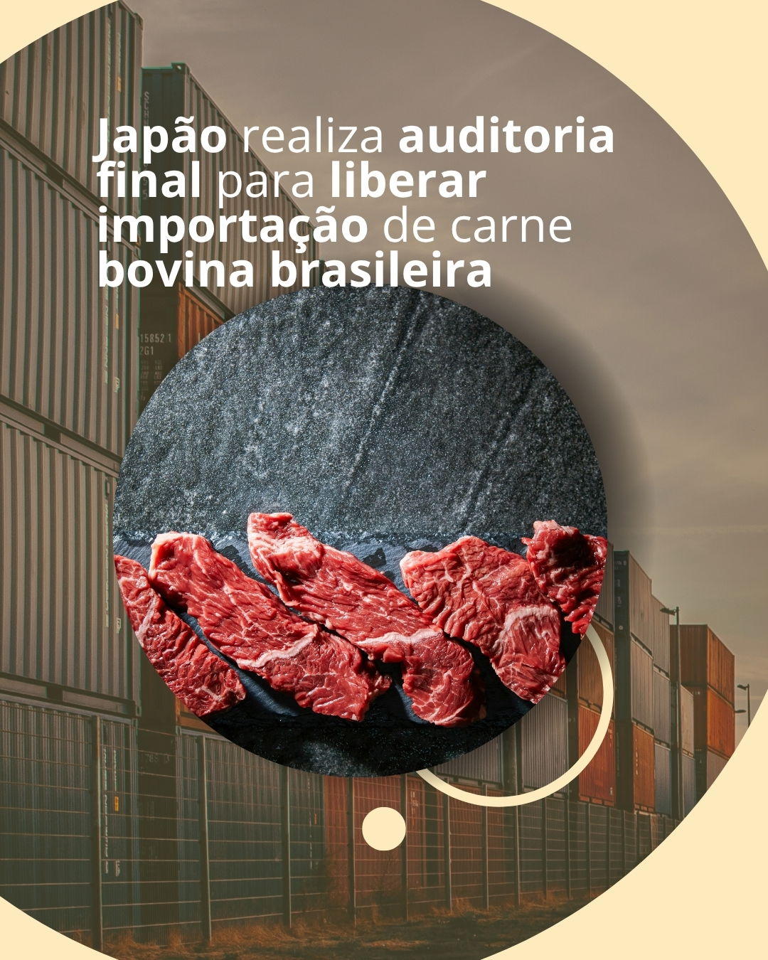 Japão realiza auditoria final para liberar importação de carne bovina brasileira