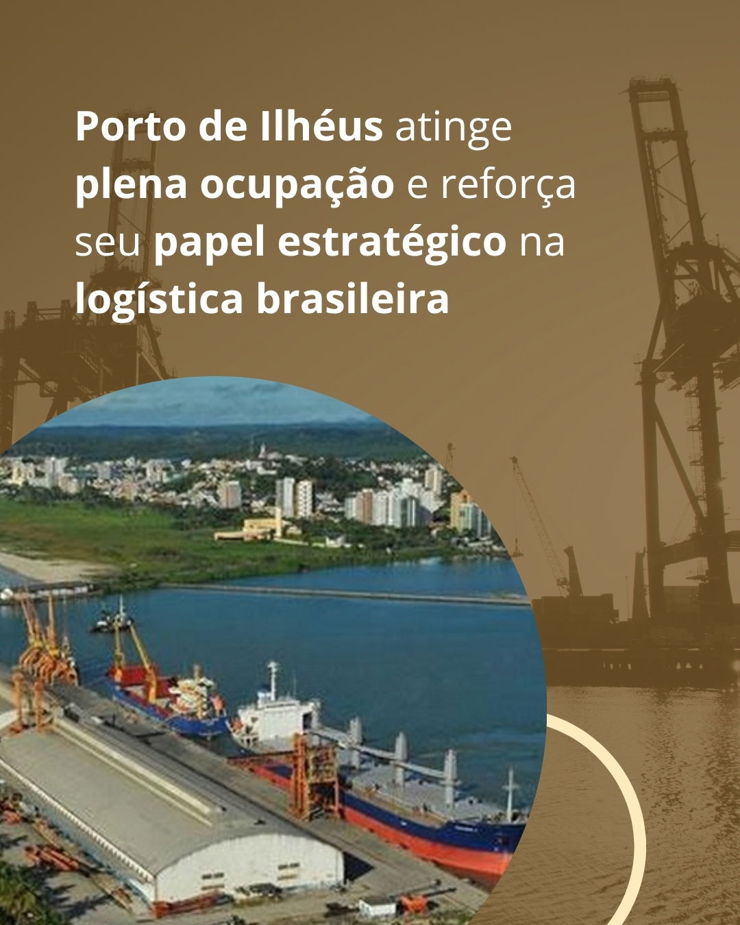 Porto de Ilhéus atinge plena ocupação e reforça seu papel estratégico na logística brasileira