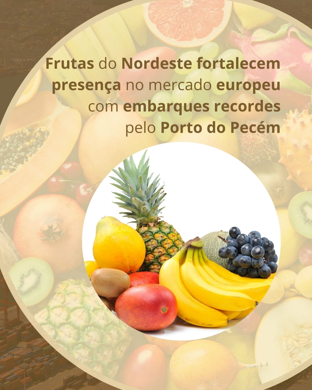 Frutas do Nordeste fortalecem presença no mercado europeu com embarques recordes pelo Porto do Pecém