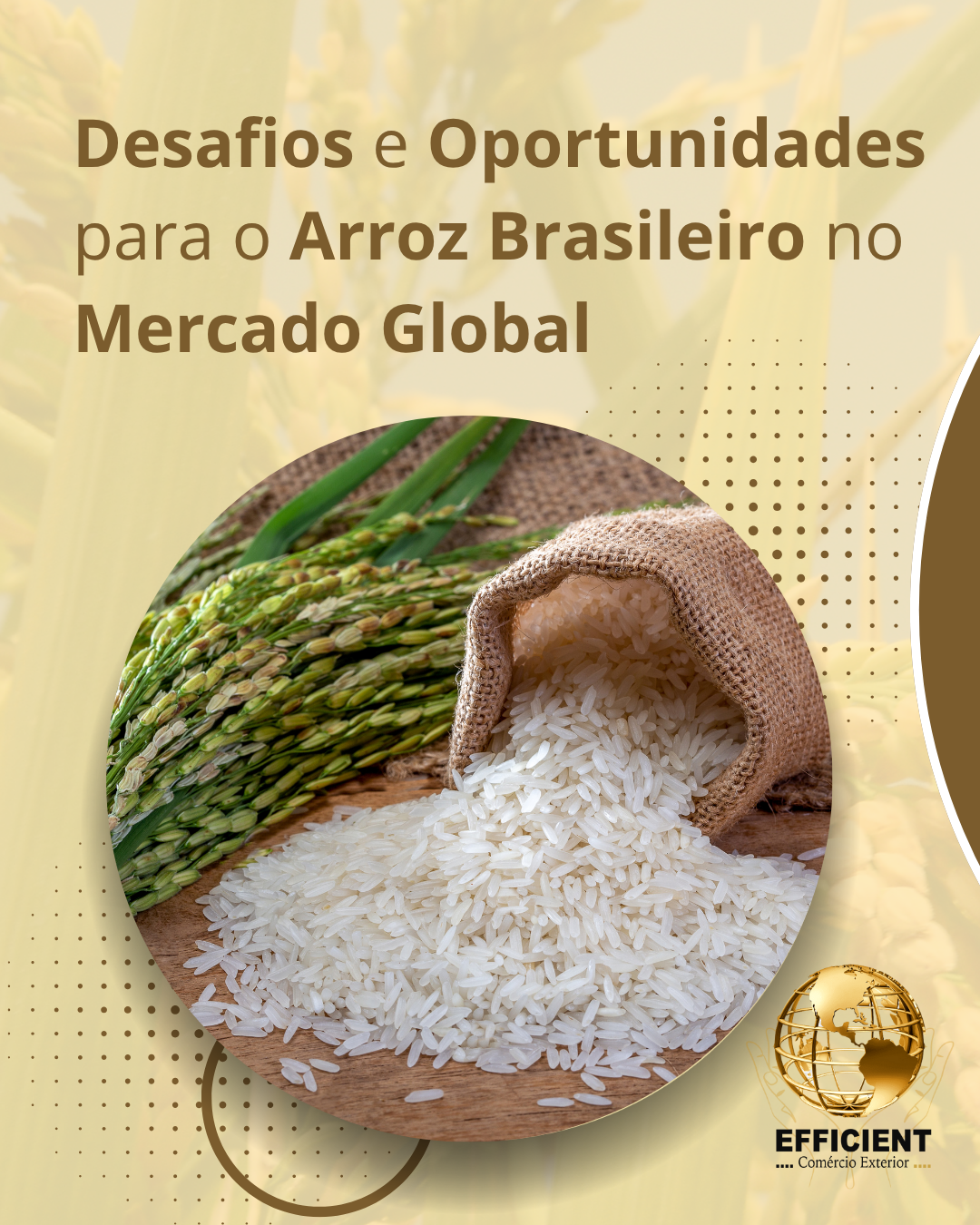 Desafios e Oportunidades para o Arroz Brasileiro no Mercado Global
