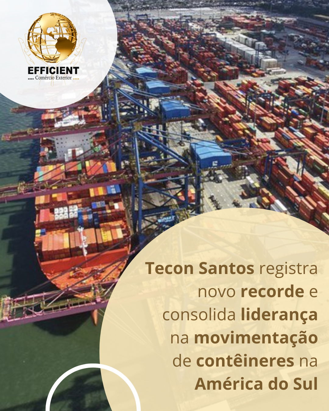 Tecon Santos registra novo recorde e consolida liderança na movimentação de contêineres na América do Sul