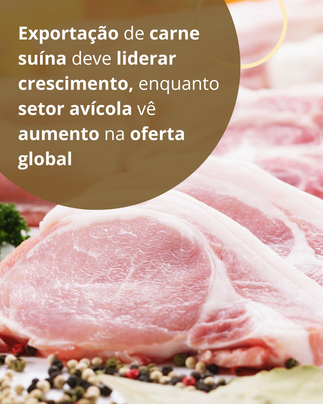 Exportação de carne suína deve liderar crescimento, enquanto setor avícola vê aumento na oferta global