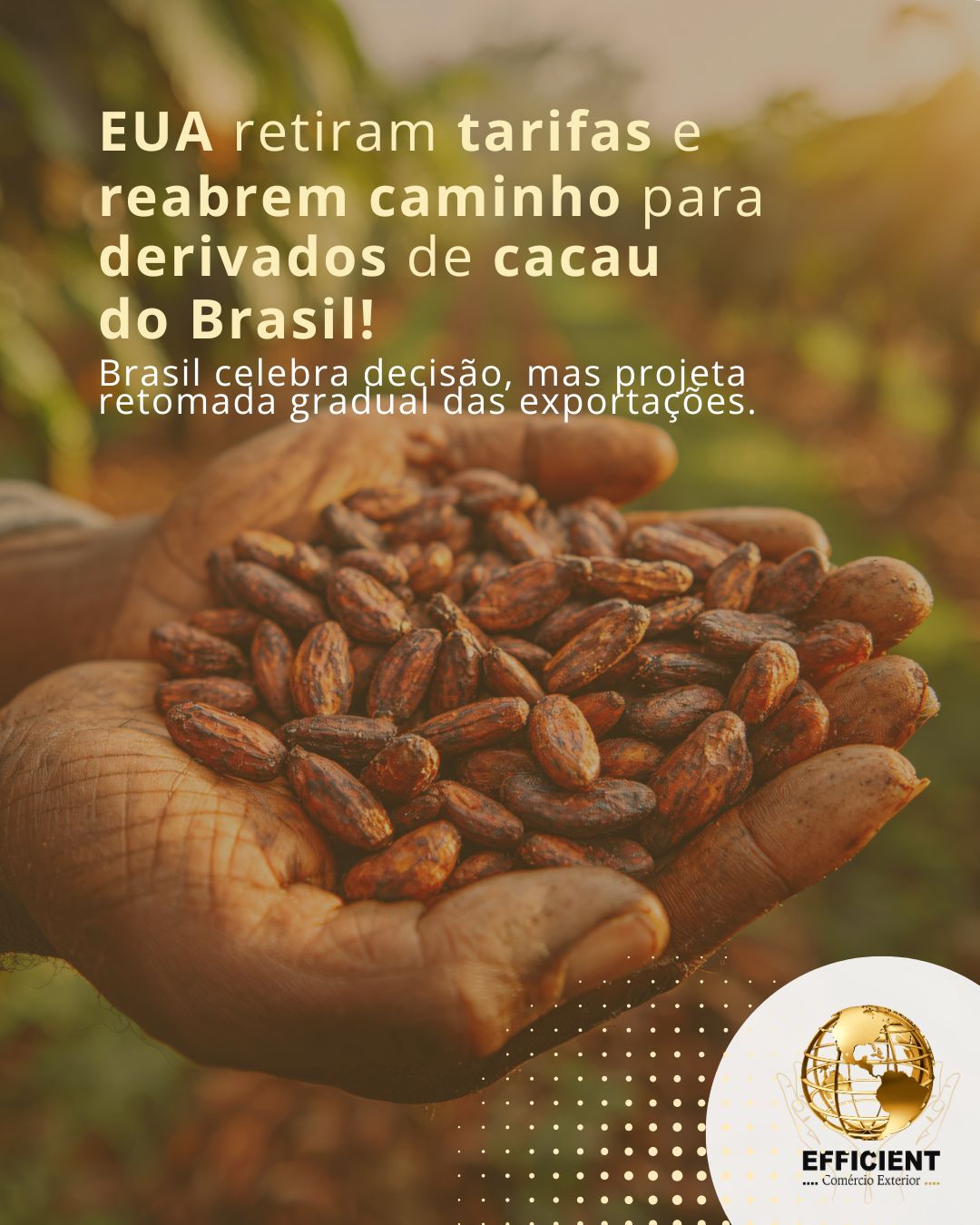 EUA retiram tarifas e reabrem caminho para derivados de cacau do Brasil