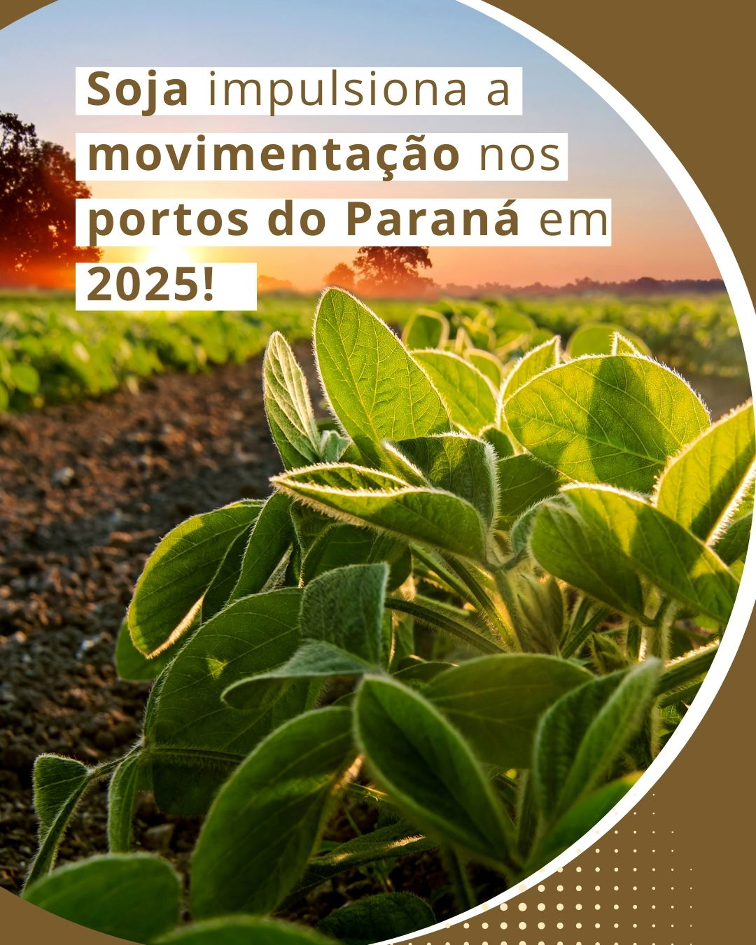 Soja impulsiona a movimentação nos portos do Paraná em 2025