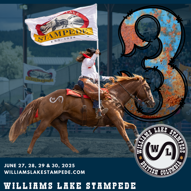 Social media, advertising, website and more!