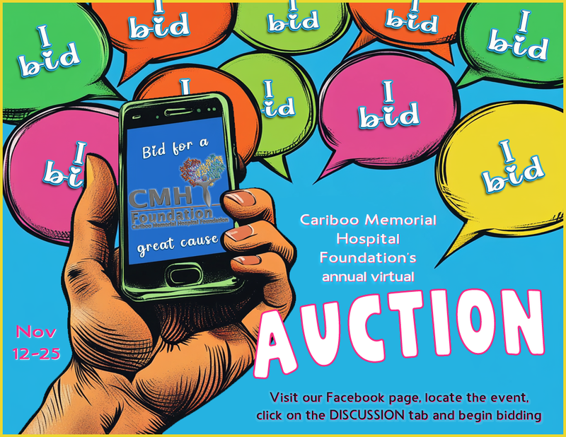 Media liaison, logo design, social media & online auction organizer