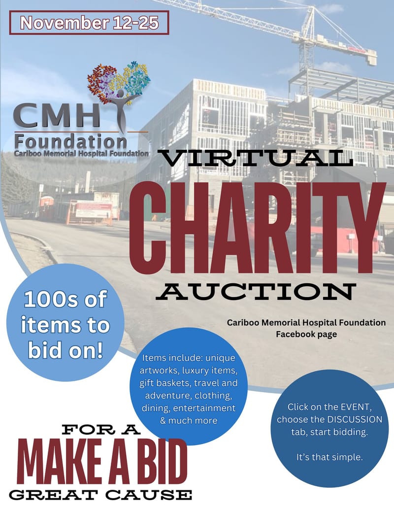 Media liaison, logo design, social media & online auction organizer