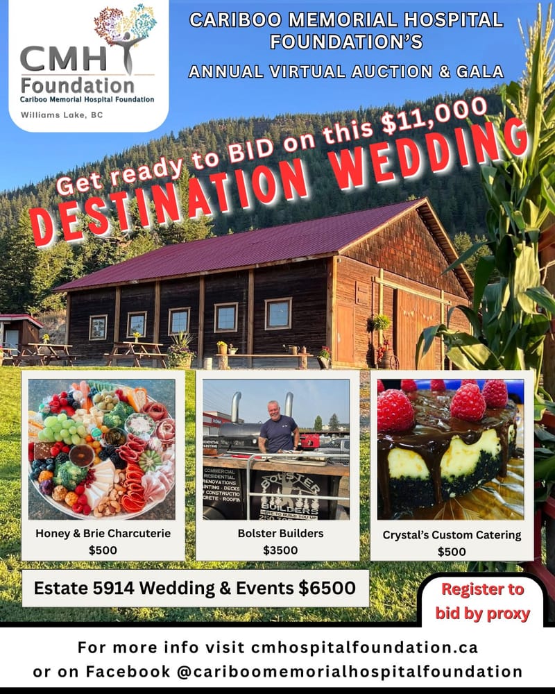 Media liaison, logo design, social media & online auction organizer