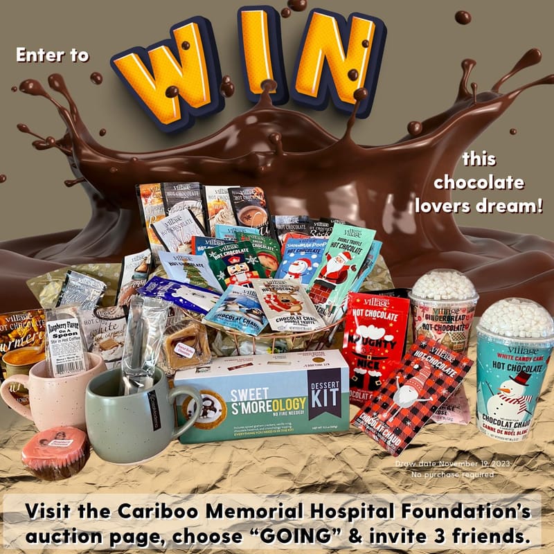 Media liaison, logo design, social media & online auction organizer