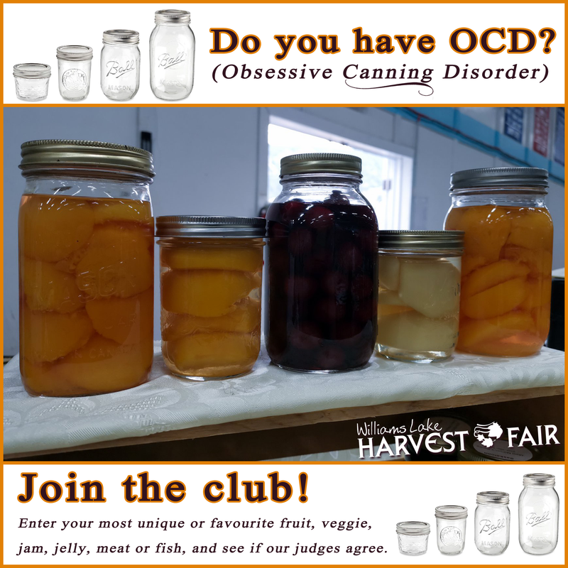 Logo refresh, website design, social media marketing