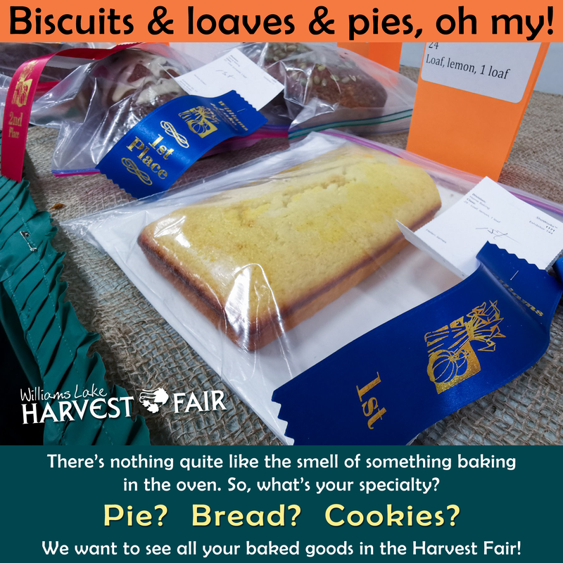 Logo refresh, website design, social media marketing