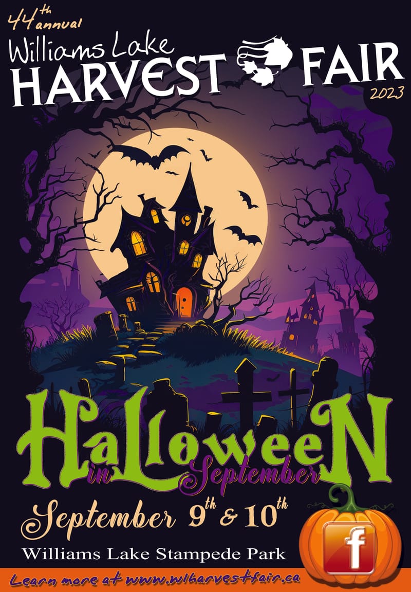 Logo refresh, website design, social media marketing