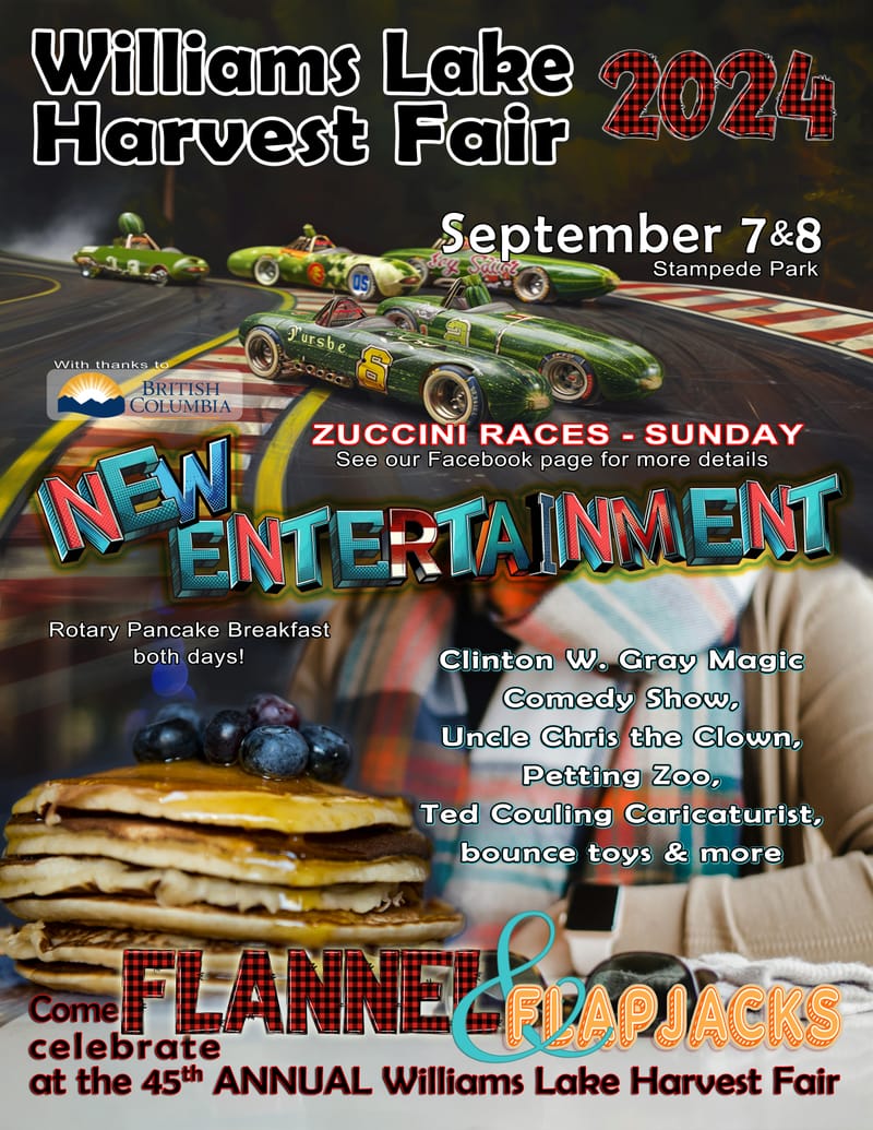 Logo refresh, website design, social media marketing