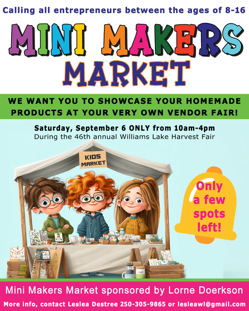 Logo refresh, website design, social media marketing