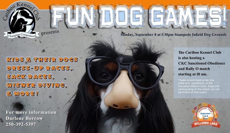 Logo refresh, website design, social media marketing