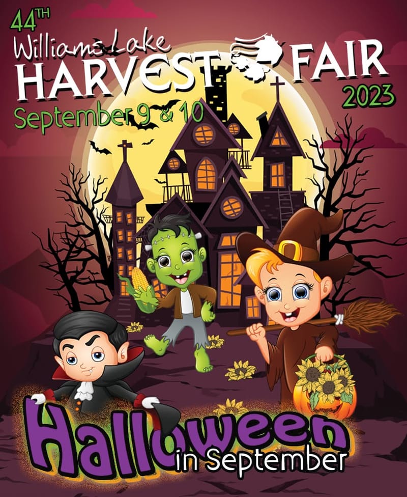 Logo refresh, website design, social media marketing