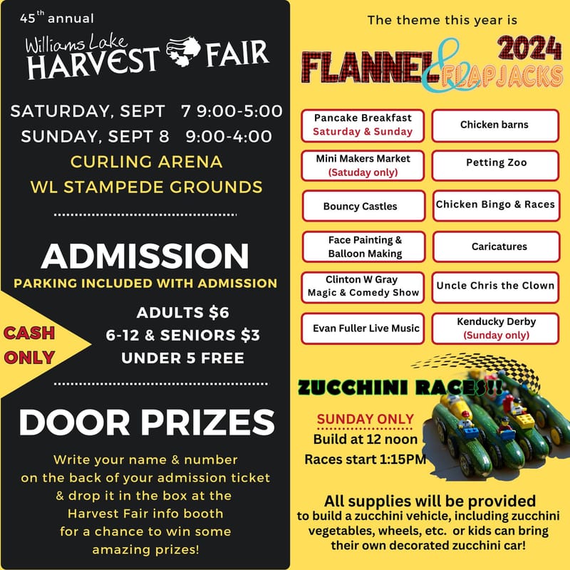 Logo refresh, website design, social media marketing