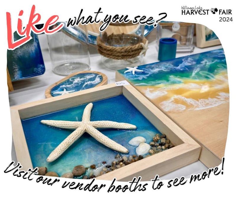 Logo refresh, website design, social media marketing