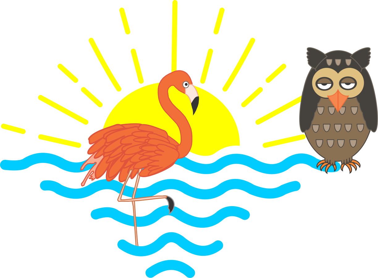 The Flamingo and the Owl