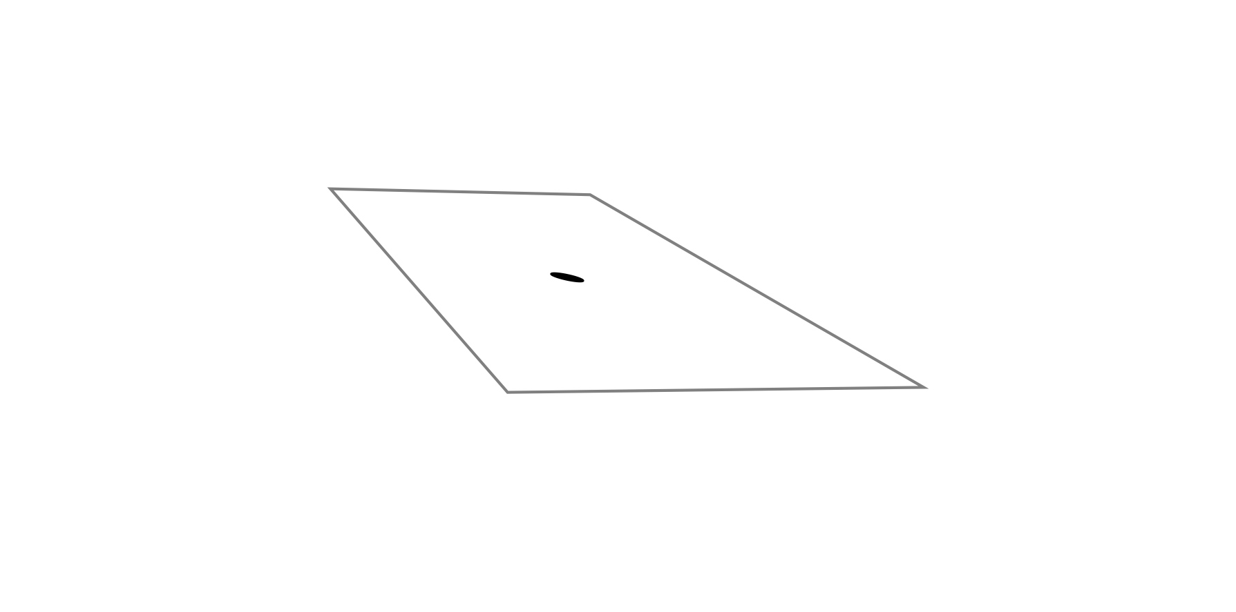 What Do You See?