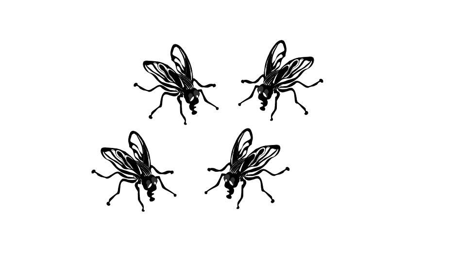 The Four Flies